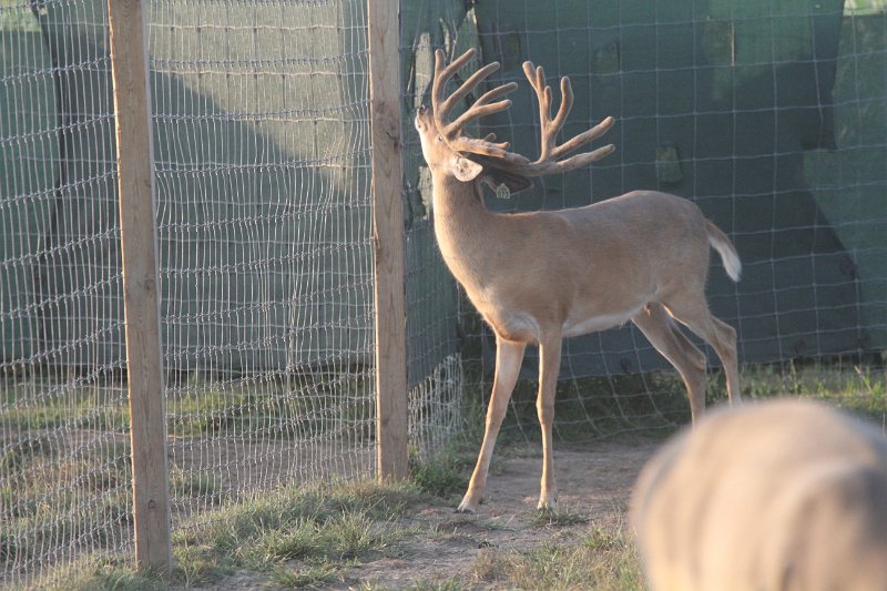 8-18-11 180.JPG - BIG TIME @ 1